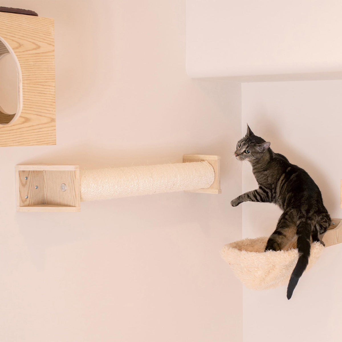 Cat Wall Climber Series: Scratching Post by Armarkat – Medium, solid Poplar layered wood, Natural Beige, Model W1907D