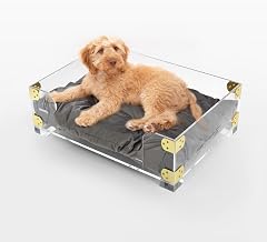 DBD2002A Haines 21.5" x 15.25" Small/Medium Modern Lucite Velvet Pet Bed with Washable Cushion, Dark Gray/Clear