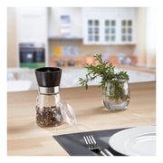 Spice Mill Display with Ceramic Grinder Glass/Ceramic/Plastic Transparent/Black/Silver by Westmark – 6 Stück, 190 milliliters, Glass, stainless steel, ABS, PE, PP, PS, ceramic