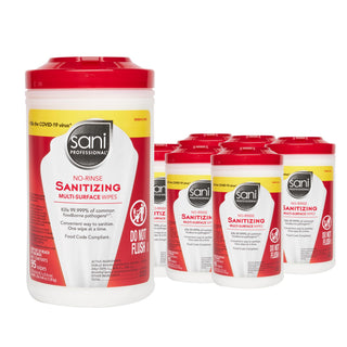 Sani-Professional Sanitizing Wipes by PDI – 95 Count (Pack of 6), Bamboo, white, Pack of 6, Model P56784CT