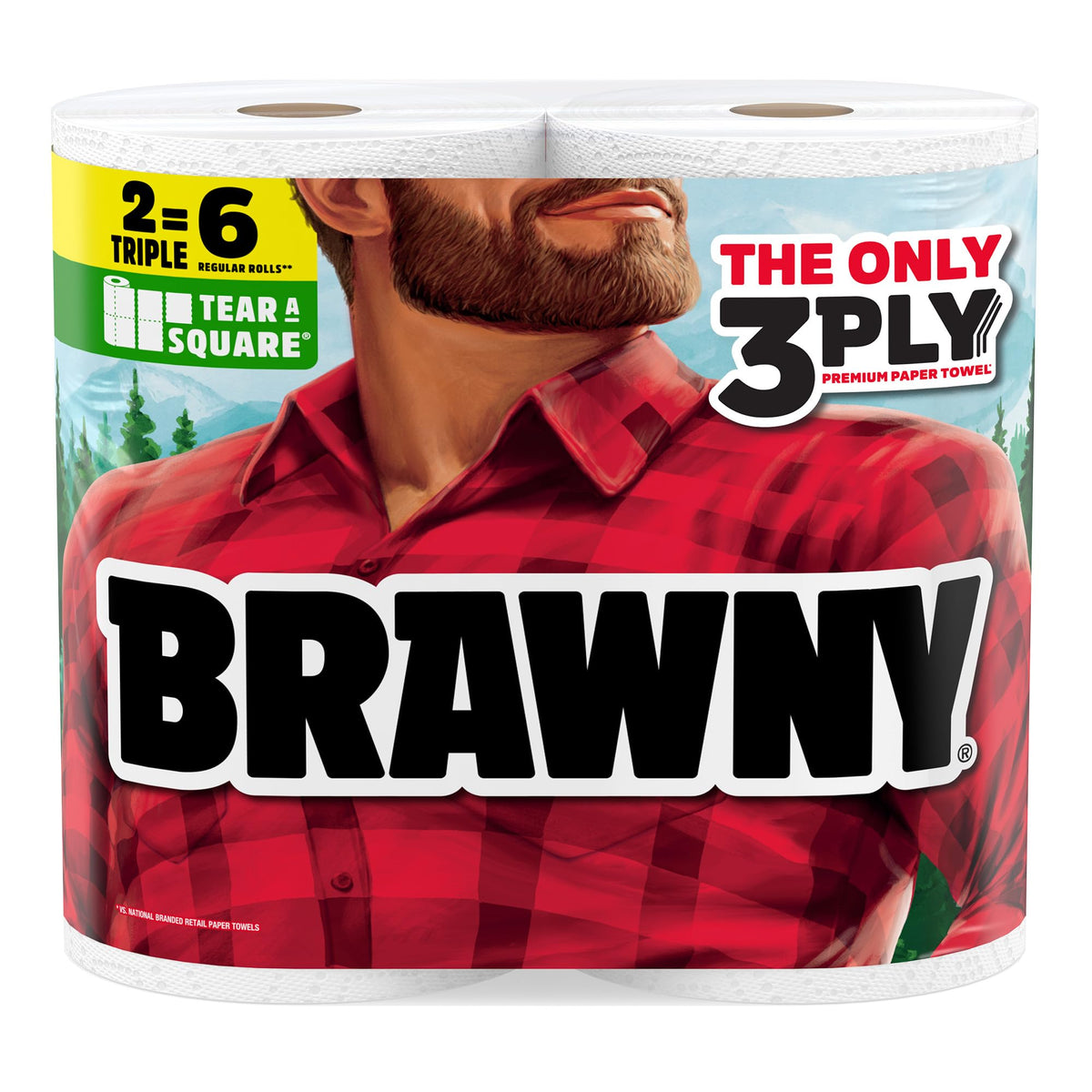 Tear-A-Square 3-Ply Paper Towels by Brawny – 2 Rolls (114 Sheets each), Paper, White, Pack of 2, Model 44576