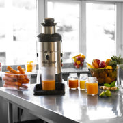 Ultra Automatic Juicer with Pulp Ejection - 120V by Robot Coupe – 6.5 Liter, 6.5 liters, Stainless, Grey, Model J80