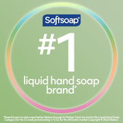Softsoap Rosewater & Aloe / 11.25 Fl Oz (Pack of 6) / Clear Hand Wash