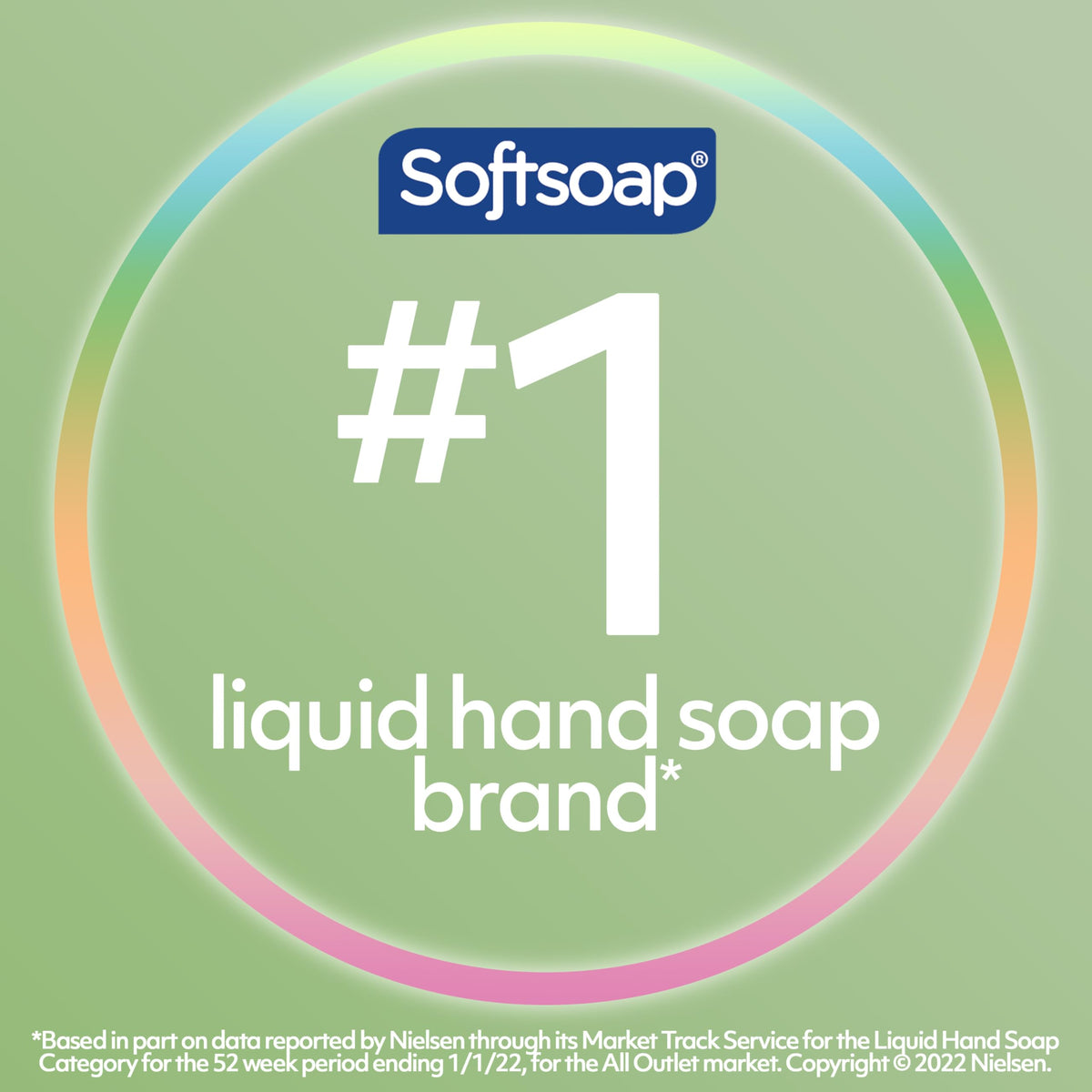 Softsoap Rosewater & Aloe / 11.25 Fl Oz (Pack of 6) / Clear Hand Wash