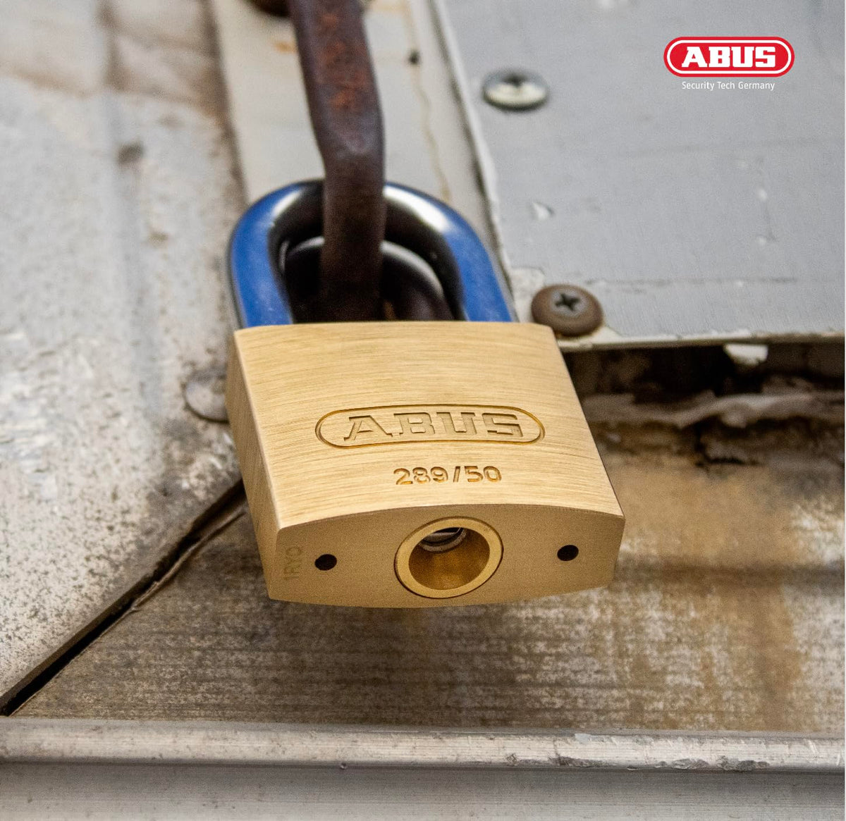 289/50 Stainless Brass Lock with 3 Keys for Outdoor by ABUS – Brass, Gold, Model 41993