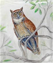 Great Horned Owl Throw