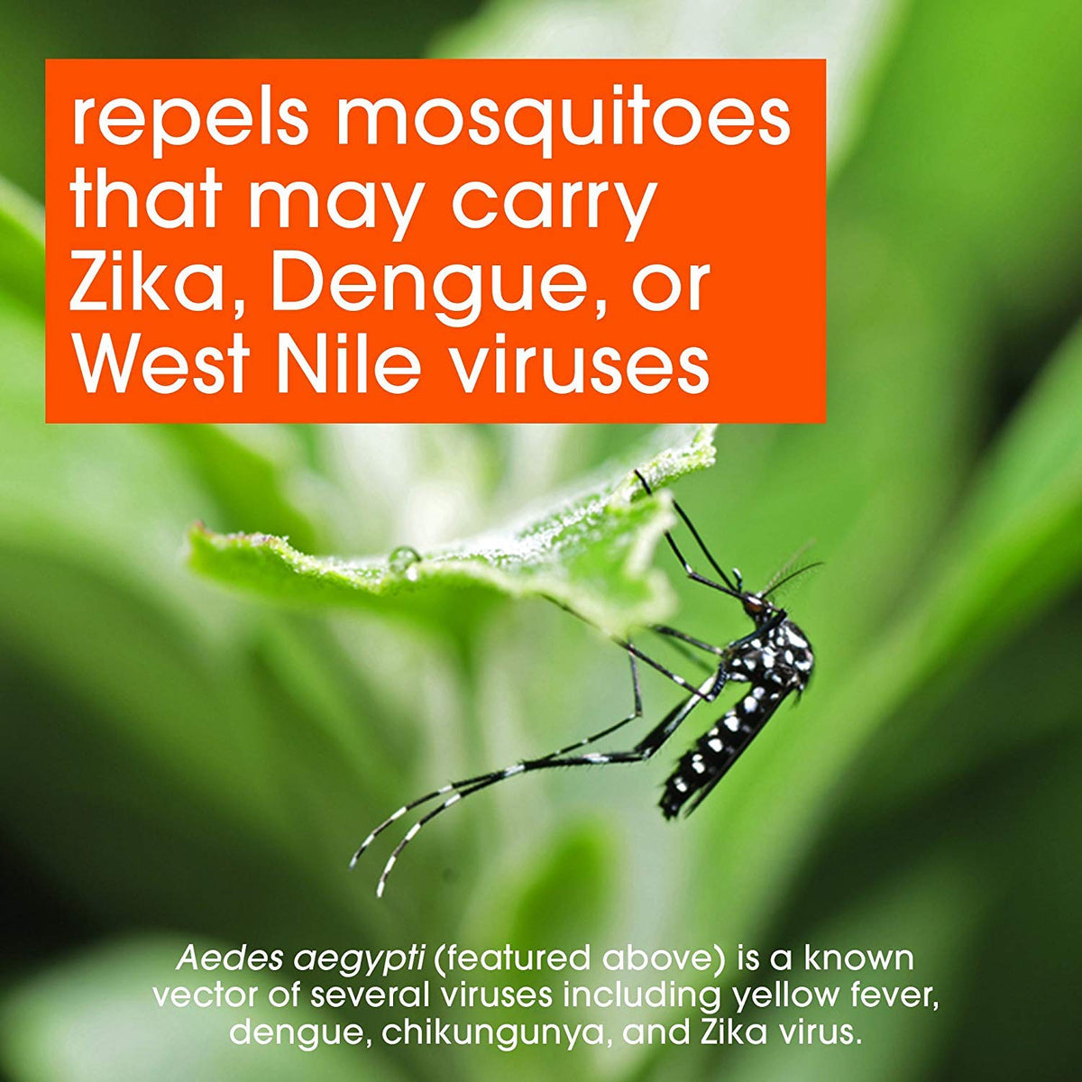 Deep Woods Insect Repellent VII by OFF! – 6 Fl Oz (Pack of 6), Pack of 6