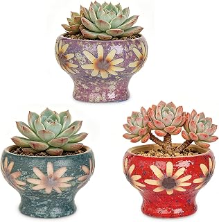 Sungmor Small Succulent Planters Set of 3, Beautiful Hand Crafted Ceramic Plant Pots Cute Cactus Pot, 4.9 Inch Flower Pots for Indoor Plants with Drainage, Desktop Windowsill Home Office Decor Pots