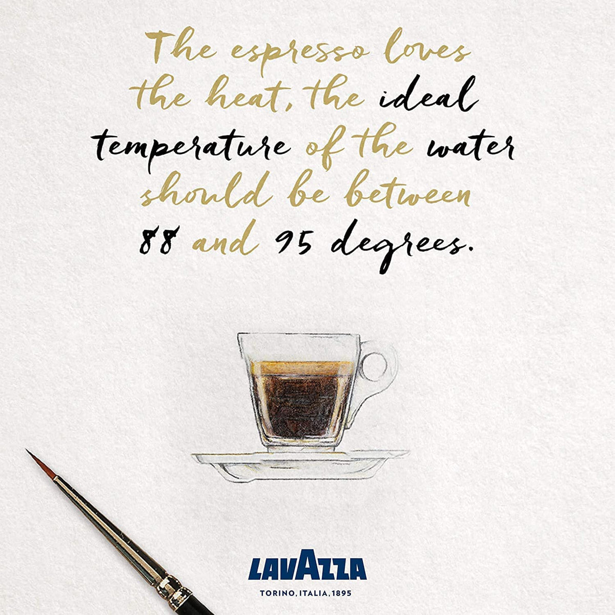 Lavazza Vigoroso / 10 Count (Pack of 1) / 1 Single-Serve Capsules & Pods
