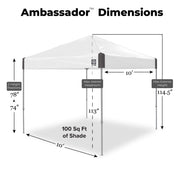 Ambassador Instant Pop Up Canopy Tent by E-Z UP – 10'x10', Steel and fabric, White Slate