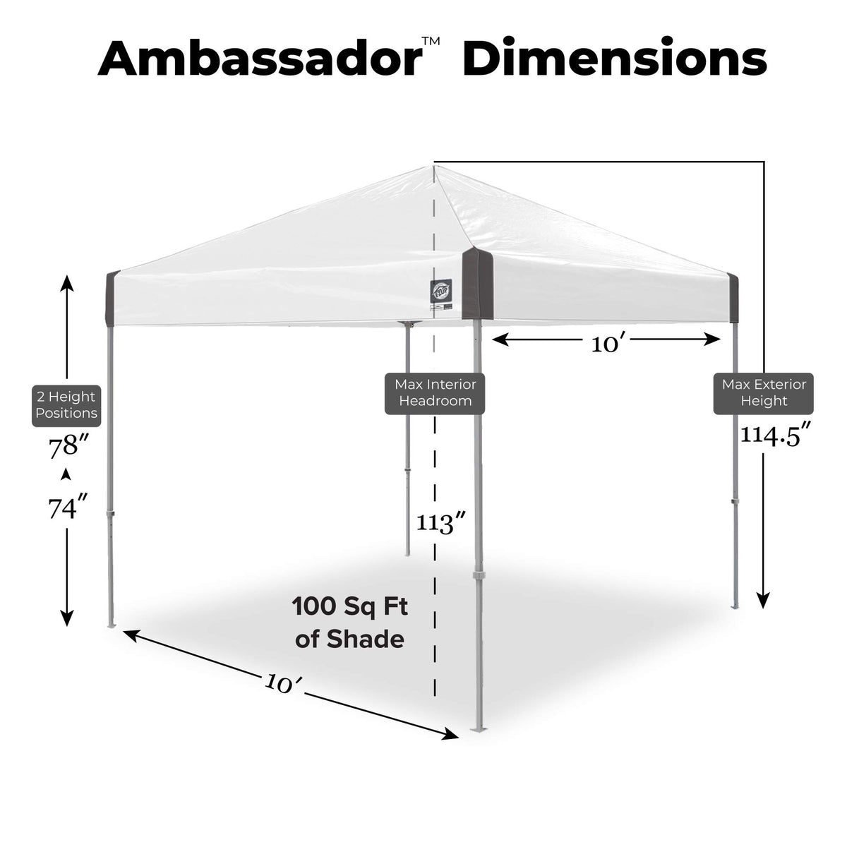 Ambassador Instant Pop Up Canopy Tent by E-Z UP – 10'x10', Steel and fabric, White Slate