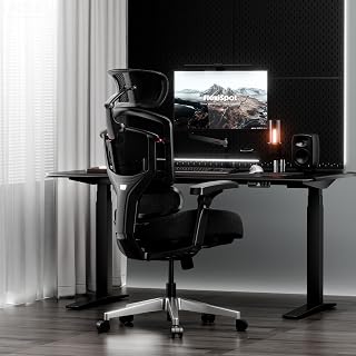 FLEXISPOT ErgoX-Pro Premium Ergonomic Office Chair Obsidian-FT | Adjustable Armrests, Dynamic Lumbar Support, Recline & Tilt Function, Mesh with Footrest, Home & Office Use