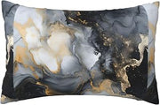 Black Art Marble Texture Throw Pillow Covers Soft Pillowscase Decorative Pillow for Couch Sofa Living Room Bedroom 20x30inches