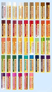 Burt's Bees 10 Count Lip Balm Variety Gift Pack -Stocking Stuffer - 10 Assorted Flavors - No Duplicates - Choosen at Random
