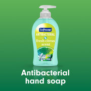 Softsoap Fresh Citrus / 11.25 Fl Oz (Pack of 6) / Blue Hand Wash
