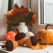 Fuutreo Fall Acorn Decorations, Woven Corn Husk, Set of 6