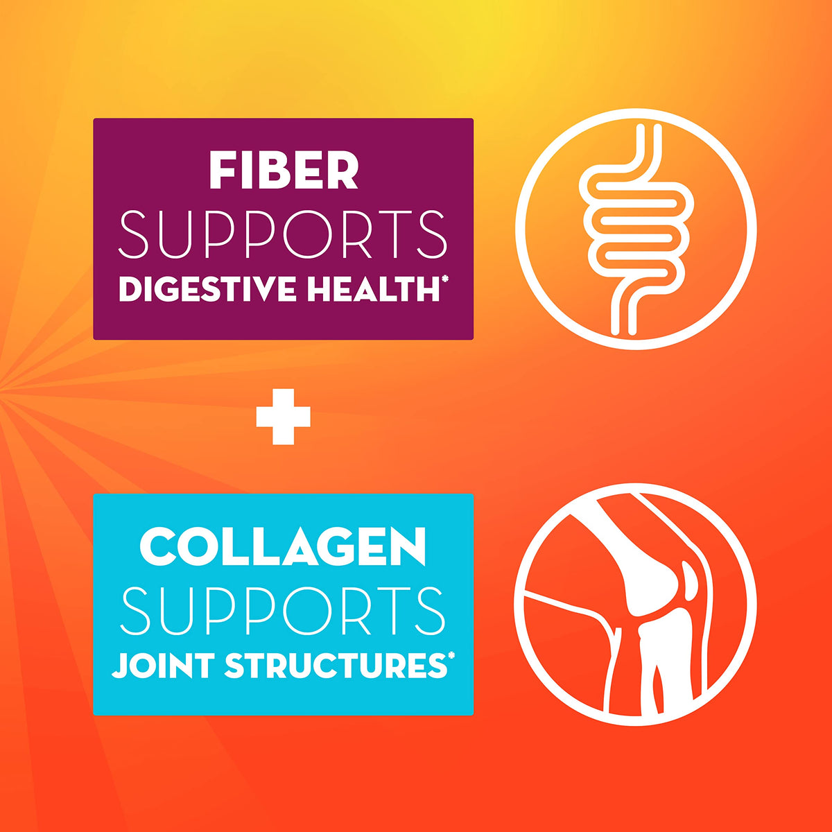 Daily Fiber + Collagen by Metamucil – Model Daily Fiber + Collagen, Psyllium Husk Powder, Plant Based, Sugar-Free with Stevia, 3-in-1 Fiber for Digestive Health, Orange Flavored