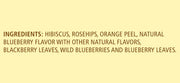 Celestial Seasonings True Blueberry / 20 Count (Pack of 5) / No Color Herbal