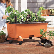 Garden Kit by EarthBox – Large, 2 cubic_feet, Plastic, Terra Cotta, Pack of 2