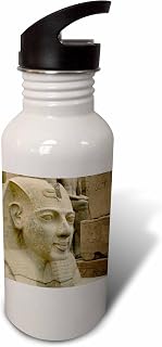Egypt, Luxor, Luxor Temple, Ramesses II-AF14 CMI0373 - Cindy Miller Hopkins Flip Straw 21oz Water Bottle