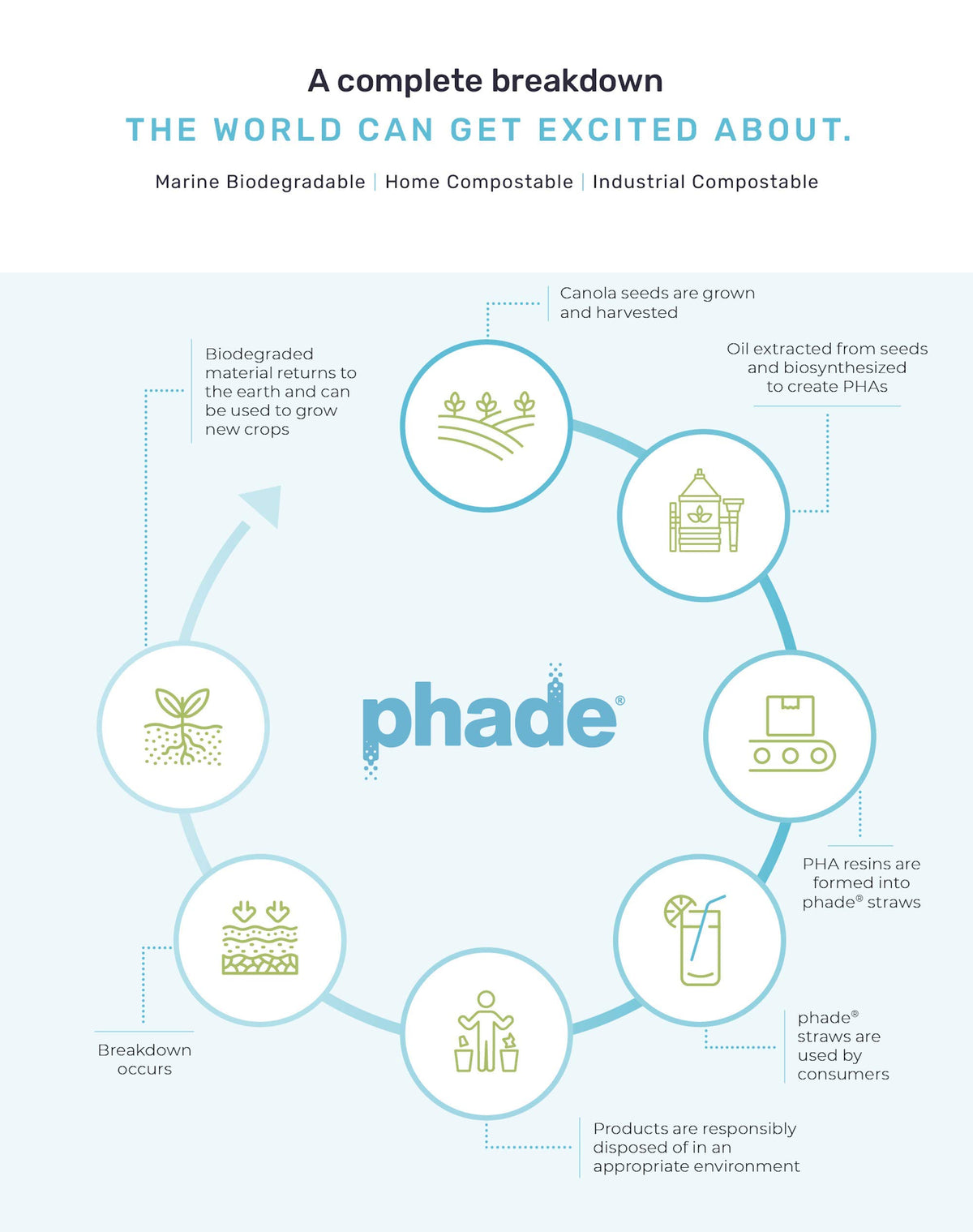 phade 10.25" - 250 Count / Blue / 1 Straws