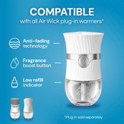 Scented Oils Refills by Air Wick – 0.67 Fl Oz (Pack of 6), Clear, Pack of 6, Model 6233801302