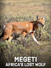 Megeti - Africa's Lost Wolf