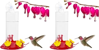 Perky-Pet Plastic Window Mount Hummingbird Feeder with Perches - 8 oz Hummingbird Nectar Capacity, 217 - Hummingbirds feeders for Outdoors, (Pack of 2)