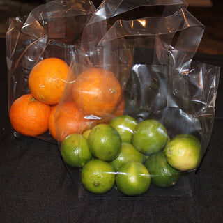 Fast Take Plastic Take-Out Bag with Soft Loop Handle by Elkay Plastics – One Size, Plastic, Transparent, Pack of 200