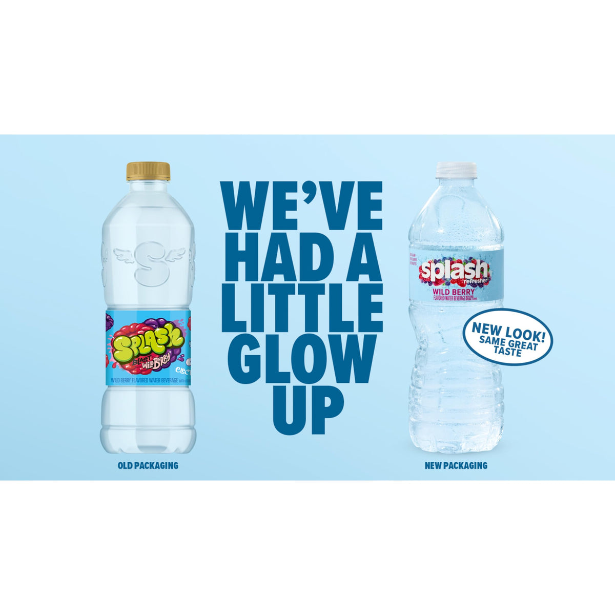 Splash Refresher Wild Berry | 16.9 Fl Oz | Plastic Bottle | 24 Pack by SPLASH BLAST – 16.9 Fl Oz (Pack of 24), Clear, Model H-3044