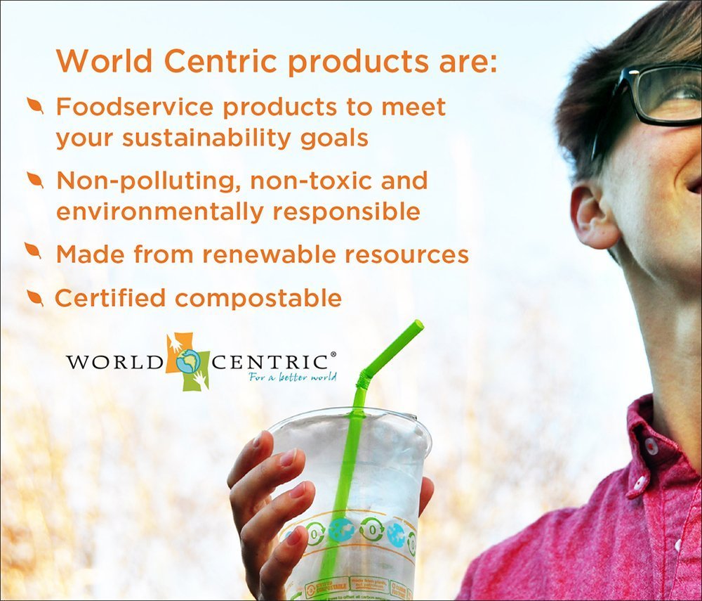 World Centric - BB-SC-U8 100% Compostable Bowls by – Made from Unbleached Plant Fiber, Soup Bowls, 8 oz (Pack of 500)