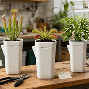 Self Watering Pots Watering Nursery Pot with Drainage Holes Translucent Plastic Planters Mini Flower Seedlings Pot (Small,9 * 5 * 5cm)