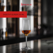4 Piece Authentis Digestive Wine Glasses by Spiegelau – set of 4, 6 fluid_ounces, Crystal, Clear, Pack of 4