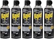 Raid Wasp & Hornet Killer Spray 14 oz (Pack of 5)