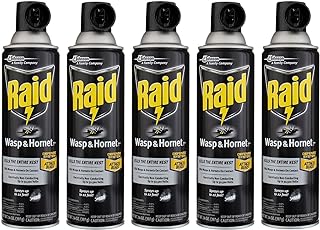 Raid Wasp & Hornet Killer Spray 14 oz (Pack of 5)