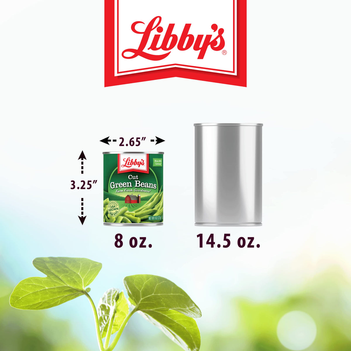 Cut Green Beans | Naturally Delicious by Libby's – 8 Ounce (Pack of 12), Pack of 12