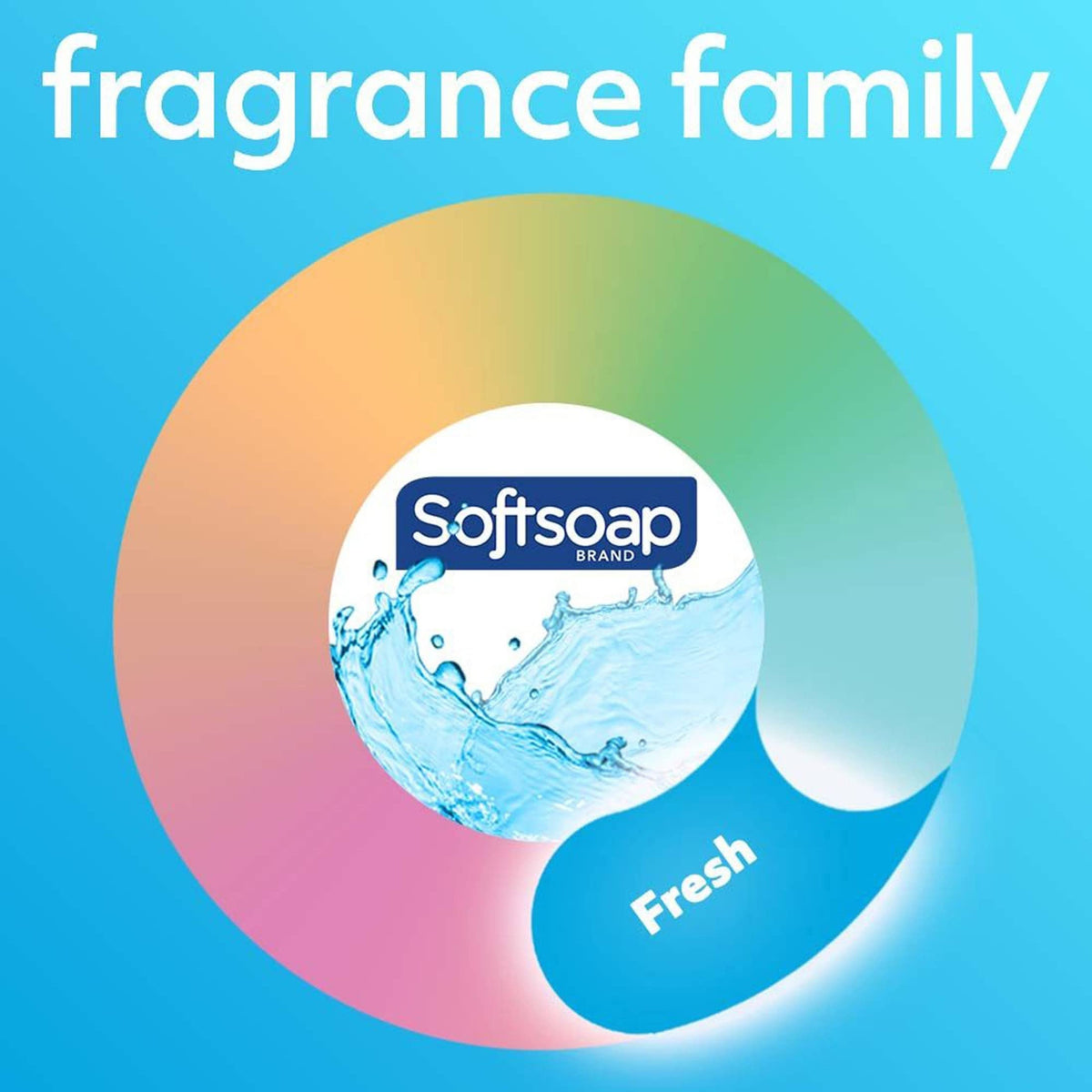 Softsoap Green / 11.25 Fl Oz (Pack of 1) / Citrus Hand Wash