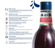 Flavoring Syrup by Fabbri – 35 Fl Oz (Pack of 1), red, Model mixybar-raspberry-syrup-oembed