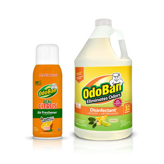 Aroma Eliminator Set by OdoBan – 69 Fl Oz (Pack of 2), Orange, Pack of 2, Model BND03455