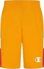 Champion Boy's Wavy Box Script Panel Shorts (Big Kids)