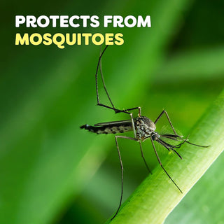 FamilyCare Clean Feel Insect & Mosquito Spritz by OFF! – 6 Fl Oz (Pack of 1), Pack of 6, Model PPAX1350670