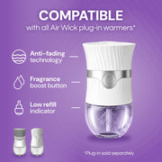 Plug In Refills by Air Wick – 10 Count, Lavender, Pack of 10, Model 6233801919