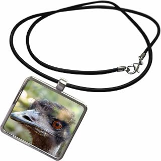 3dRose Emus face, Taronga Zoo, Sydney, NSW, Australia.-AU01 IHO0000 - Inger Hogstrom Necklace With Rectangle Pendant