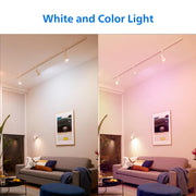 Smart Wi-Fi Connected LED 45-Watt R20 Light Bulb 4-Pack by PHILIPS – Plastic, Multicolor + Tunable White, Pack of 4, Model 567123