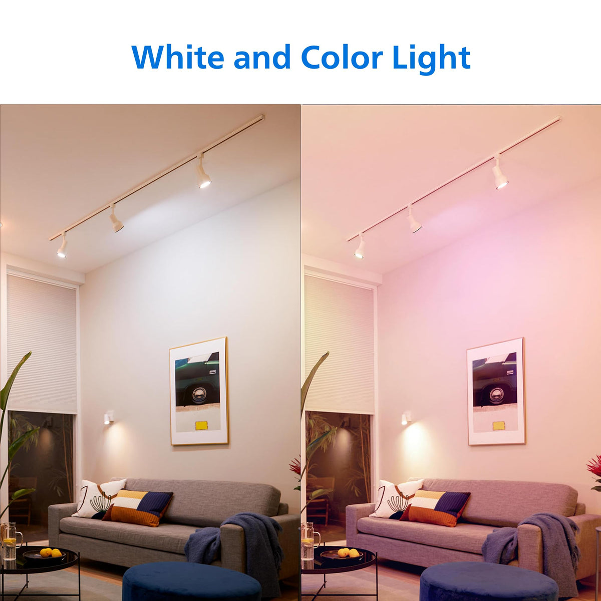 Smart Wi-Fi Connected LED 45-Watt R20 Light Bulb 4-Pack by PHILIPS – Plastic, Multicolor + Tunable White, Pack of 4, Model 567123