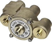 Haws TWBS.SHE Lead-Free Thermostatic Mixing Emergency Valve, 74 gpm Flow Rate