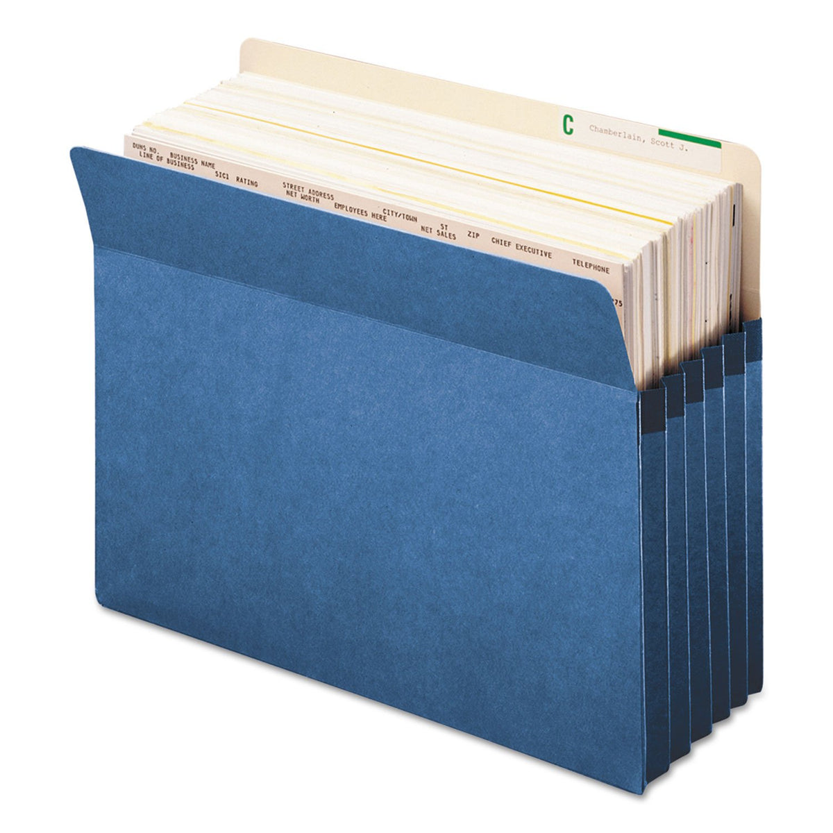 73235 Blue Colored File Pockets by SMEAD – Letter, Tyvek, Blue, Model SMD73235