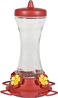 Perky-Pet 476 Glass 20-Ounce Hummingbird Feeder