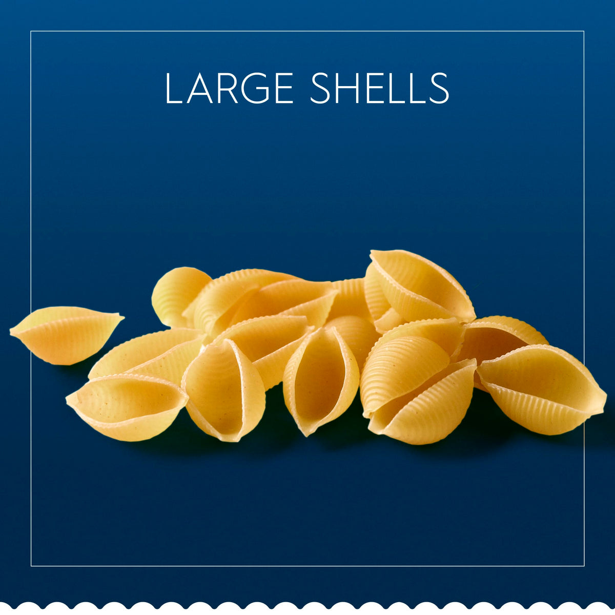 Barilla Large Shells / 16 Ounce (Pack of 12) / Large Shells 12 Pack Pasta