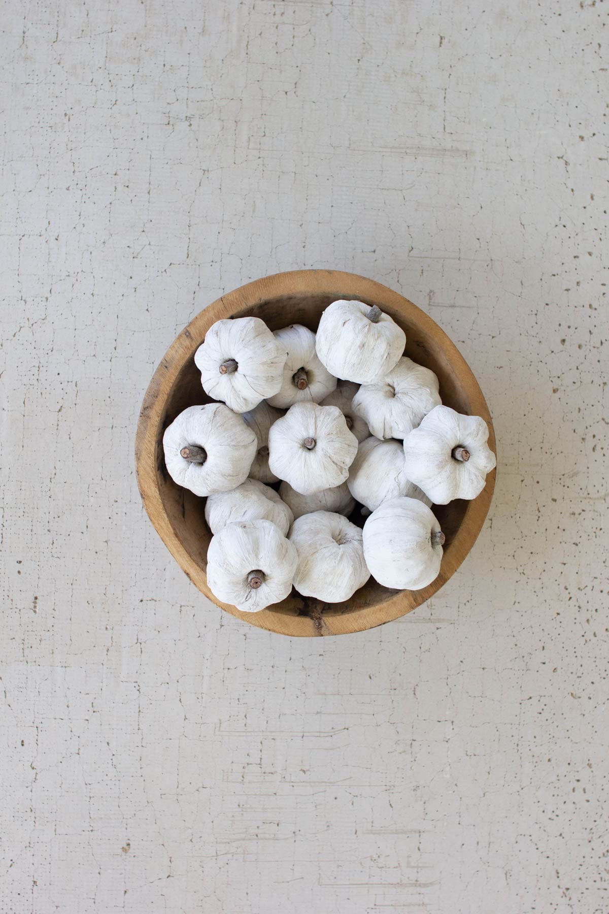 Bag of Fifteen Dried Orange Miniature Pumpkins - White by KALALOU – Model NSBE1025